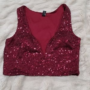 EUC Windsor Sparkle Plunge Crop Top